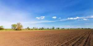 O poder dos solos supressivos no combate às pragas