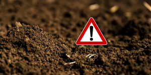Metais pesados: O incrível papel dos micro-organismos na diminuição da toxicidade no solo
