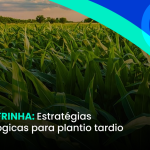 MILHO SAFRINHA: Estratégias microbiológicas para plantio tardio