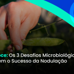 Soja Precoce: Os 3 Desafios Microbiológicos que Definem o Sucesso da Nodulação