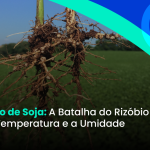 Inoculação de Soja: A Batalha do Rizóbio Contra a Temperatura e a Umidade