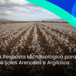 Algodão: A Resposta Microbiológica para os Desafios de Solos Arenosos e Argilosos