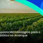 Soja: A Resposta Microbiológica para o Estresse Abiótico no Arranque