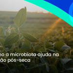SOJA: como a microbiota ajuda na recuperação pós-seca