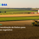 MILHO: mineralização de fósforo para fase vegetativa