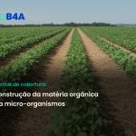 Plantas de cobertura: construção da matéria orgânica via micro-organismos