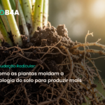 Exsudação Radicular e o controle da microbiota rizosférica