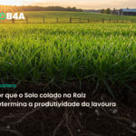 Rizosfera: Por que o Solo Colado na Raiz Determina a Produtividade da Lavoura