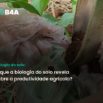 Importância da análise biológica do solo para a agricultura regenerativa