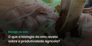 Equipe B4A realizando a coleta de solo para análise microbiológica do solo