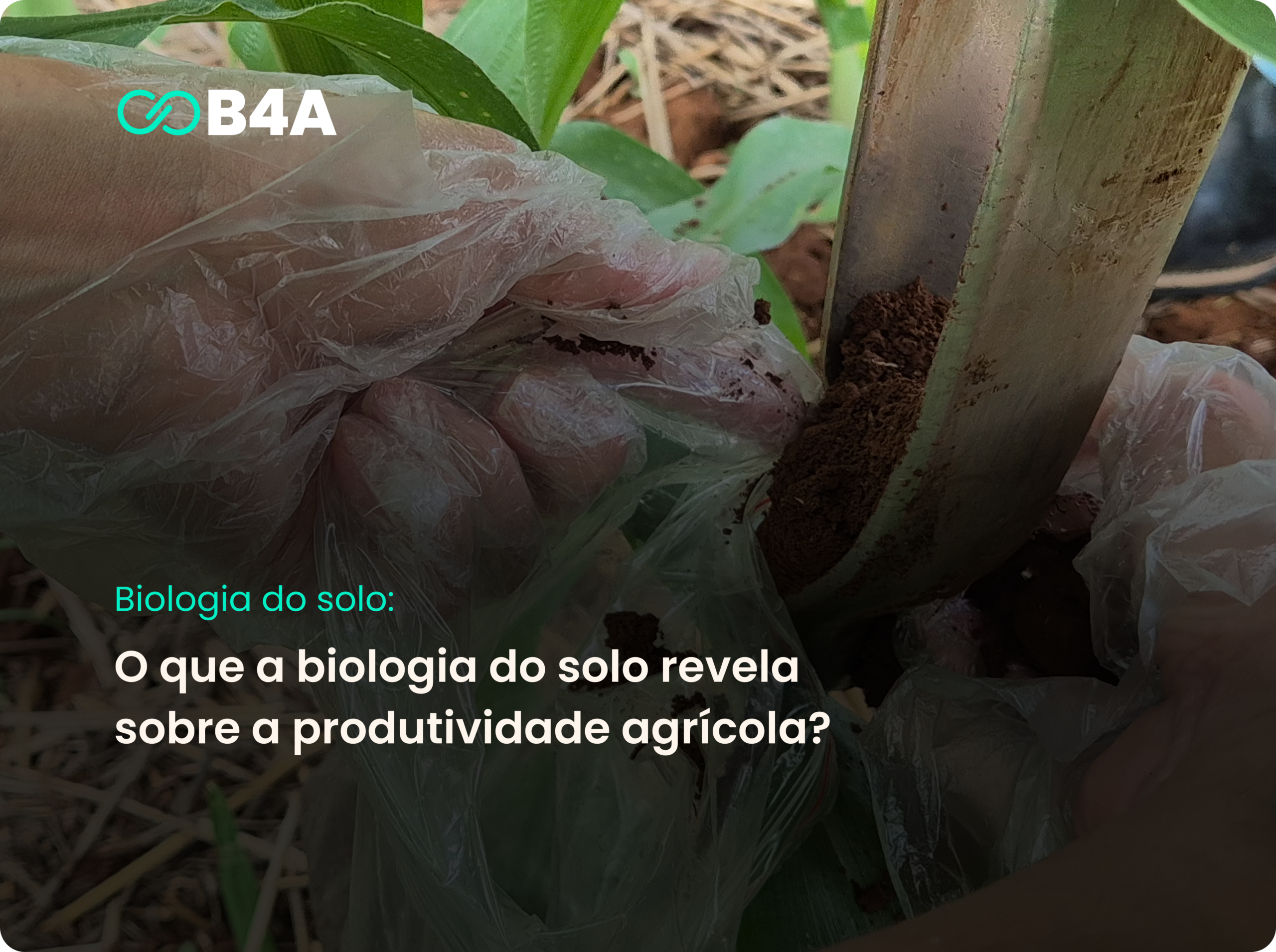 Equipe B4A realizando a coleta de solo para análise microbiológica do solo