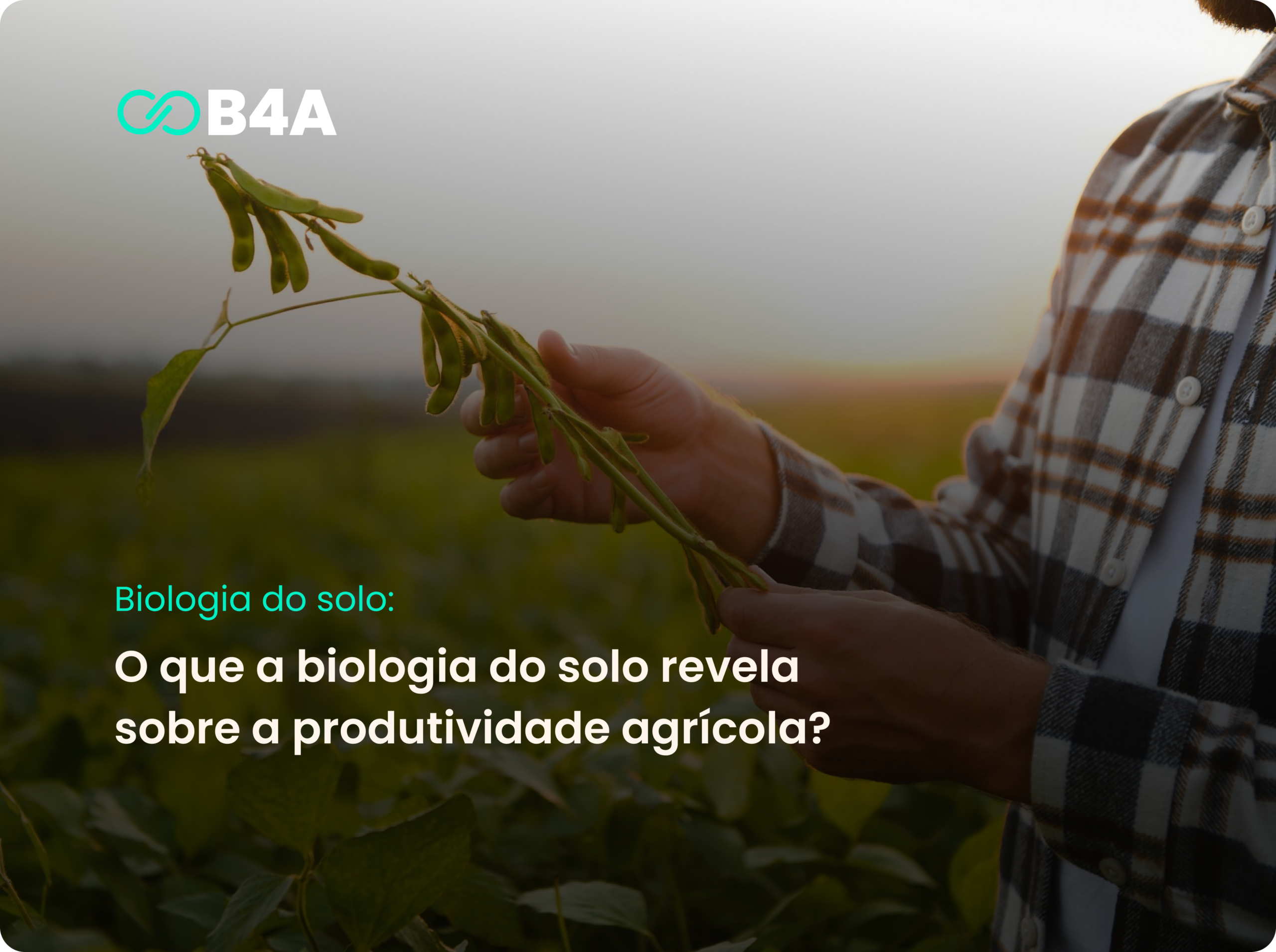 O que a biologia do solo revela sobre a produtividade agrícola?